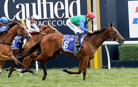 Bonneval - Multiple Gr.1 winner and NZ Horse Of The YearSpelled at Henley Park