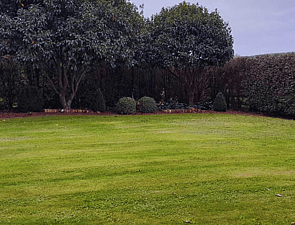 LAWN CARE