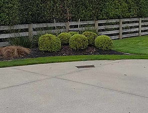 PRUNING + SHAPING