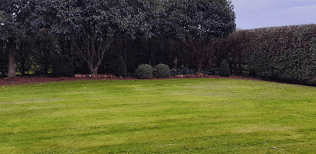 Lawn care - Edging, mowing and green waste removal