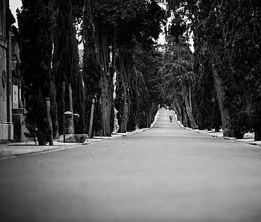 RIdeshare Consultants | 6