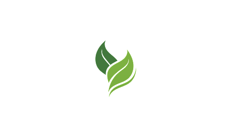 Environmentally Friendly Practices in Hamilton for Expert Tree Services