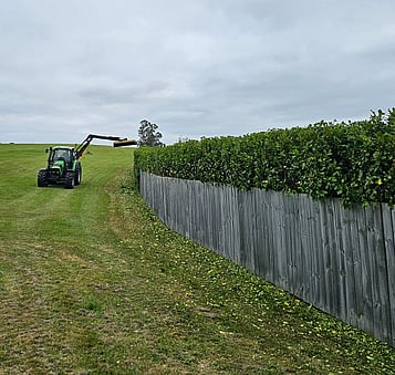 hedge mulching in the Waikato Suppresses Weeds
