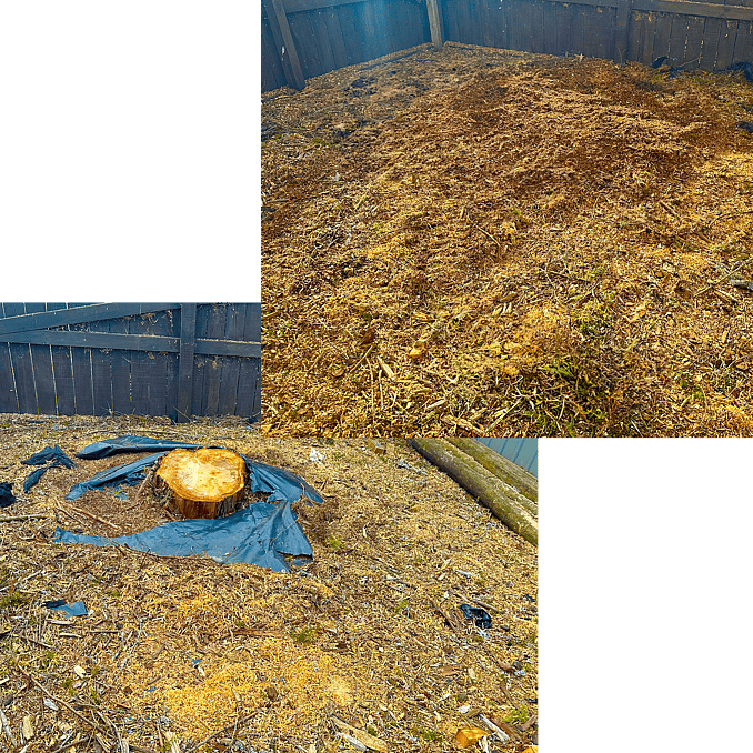 stump grinding in Waikato