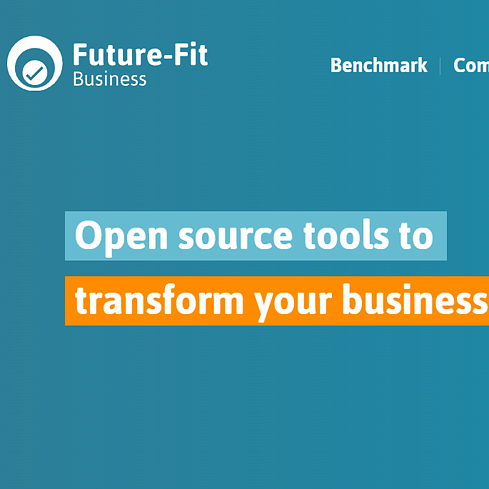 Future-Fit Business Website Screenshot
