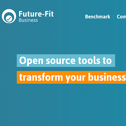 Future-Fit Business Website Screenshot