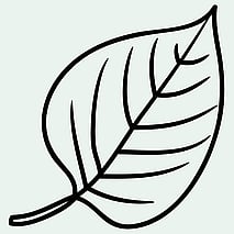Leaf icon representing environmental sustainability and care for nature