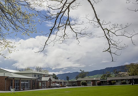 Board Member | Volunteer at Totara Springs