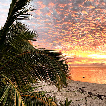 Another incredible Cook Islands sunset from the deck