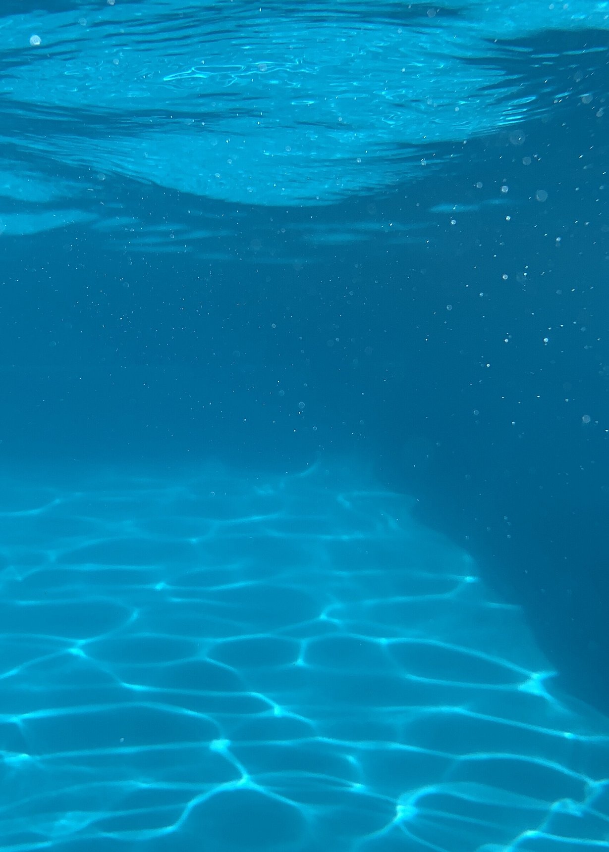 eco pools | Leisure Pools