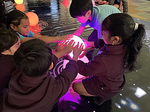 MATARIKI WORKSHOPS