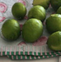 Lime Syrup