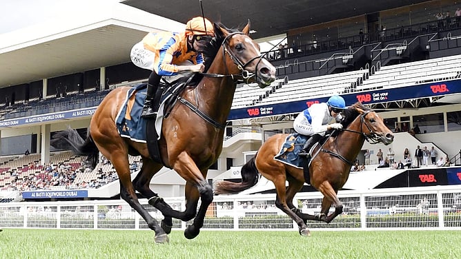 Return To Conquer  - (Credit: Race Images)