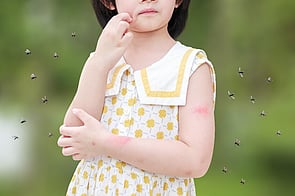 Insect Repellent