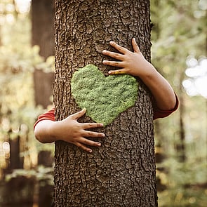 Family Violence and Family Harm Support Cambridge