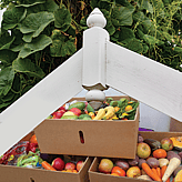 Food support Cambridge. Cambridge Community House