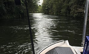 river surveys