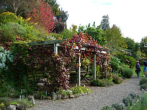 Herb Garden - A comprehensive herb garden has been established by local herb enthusiasts.