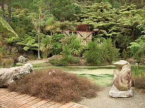 New Zealand Natives - Plantings are around the entrance/car park area and the Rotary Pond. An educational Native Plant Aboretum on the western track was begun in 2000.