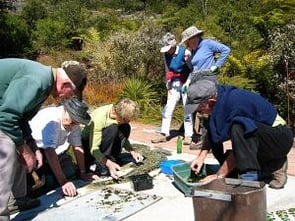 Volunteers Making Gecko Mosaic &ndash; 2010