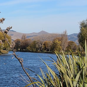 Innovation - Develop and implement creative and varied approaches to meet changing pedagogies, learning spaces, and student needs.