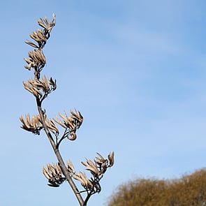 Excellence - Use evidence-based inquiry to achieve best practice in all assessments, interventions and other services.