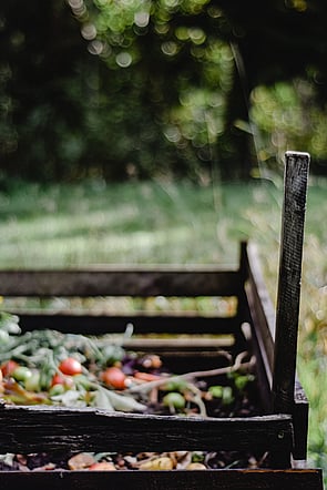 biochar used in a compost pile  