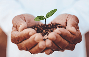 Wellbeing Coaching