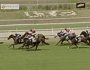 Le Chocolat Delivers First-Up Win at Ipswich
