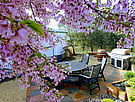 Outdoor patio area with table and chairs