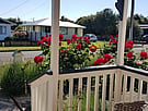 Garden view from front door of Villa Rosa
