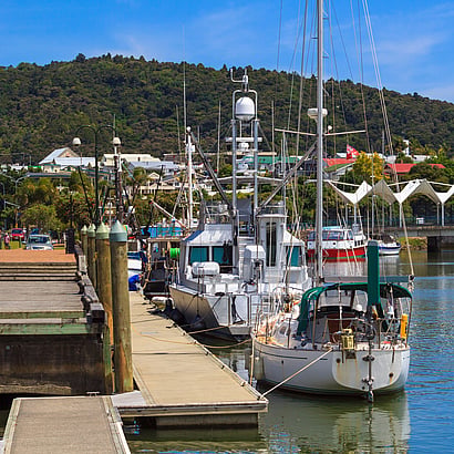 Boats docked at the Whangarei Marina
