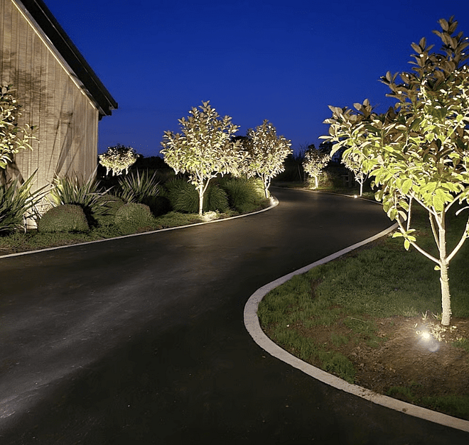 Outdoor & Garden Lighting