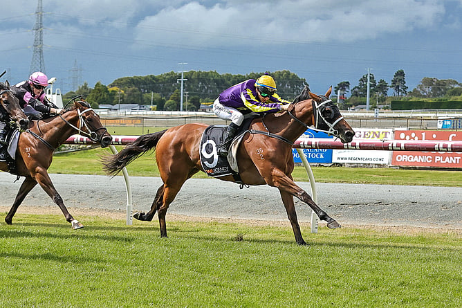 Hello Hayley winning the Listed ILT Ascot Park Hotel Southland Guineas (1400m) at Ascot Park.  - Photo: Monica Toretto