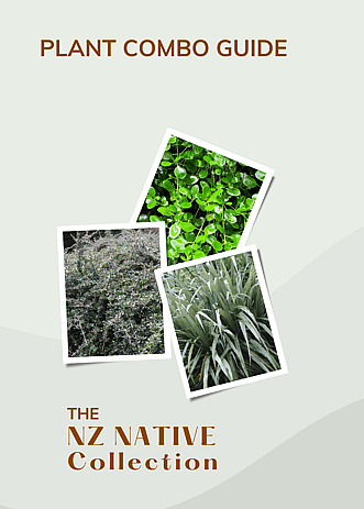 An ebook cover for a planting combination ideas book showing polaroid snaps of three New Zealand native plants.  There's blue and gold writing to the  bottom of the  plant photos  promoting the 3 plant combo pocket guide.