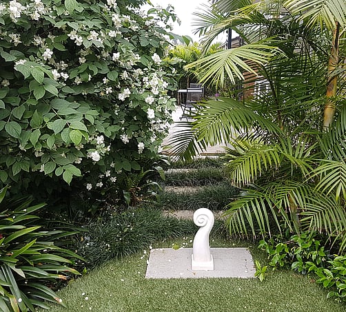 An Auckland garden designed by Kerry Speirs. It has leaf green palms and white flowering shrubs in the background. A stepping stone path leads through the planting and there is a small white koru sculpture on the fisrt paver.