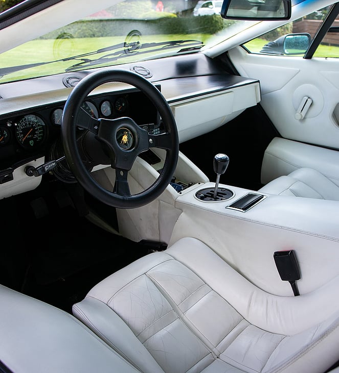 Detailing Services