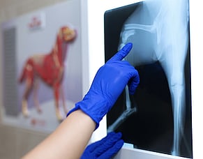 Clear answers with X-rays