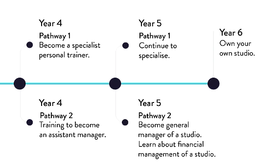 Career pathway timeline, years four to six