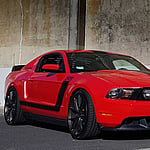 Vehicle Wrap