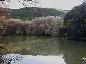 OUR PLACE - Land and Water