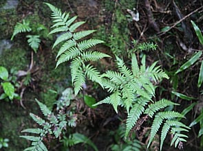 ABOUT US - Our People, Our Stories