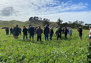 Last year - Farmers standing in 2021/22 crop.