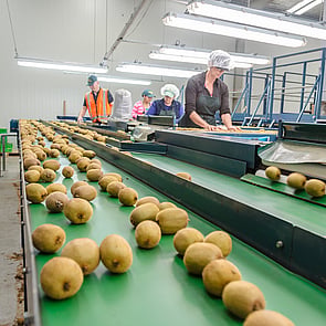 The Production Process