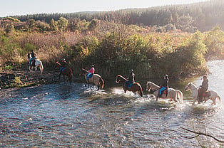 Horse riding