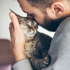 Caring for your pet &ndash; Wild Remedy  &ndash; Natural Homeopathy Support For Your Animals &ndash; New Zealand
