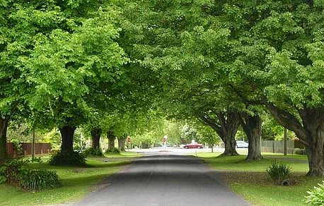 Hall Street in summer