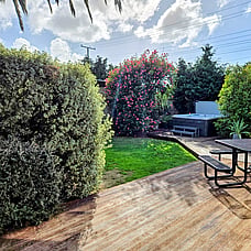 Outdoor area of 14 Cologne St