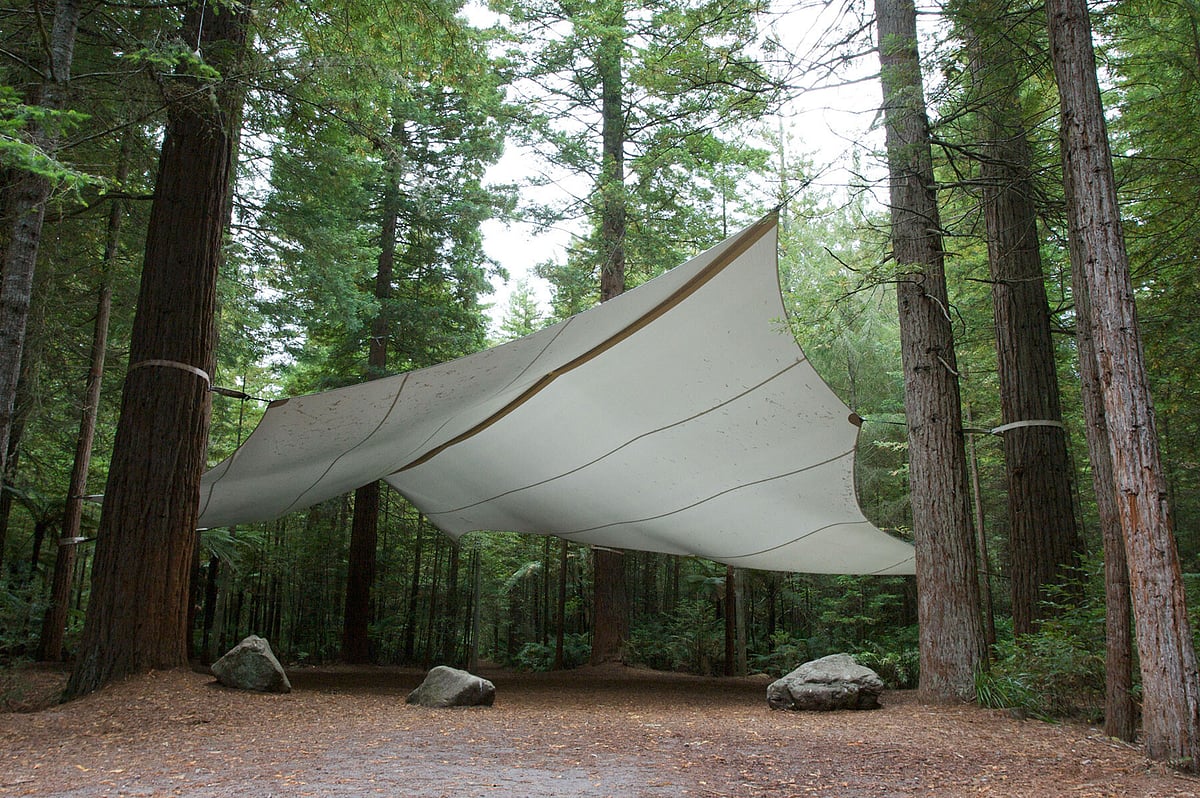 Redwoods Under the Sails — photo from their official website
