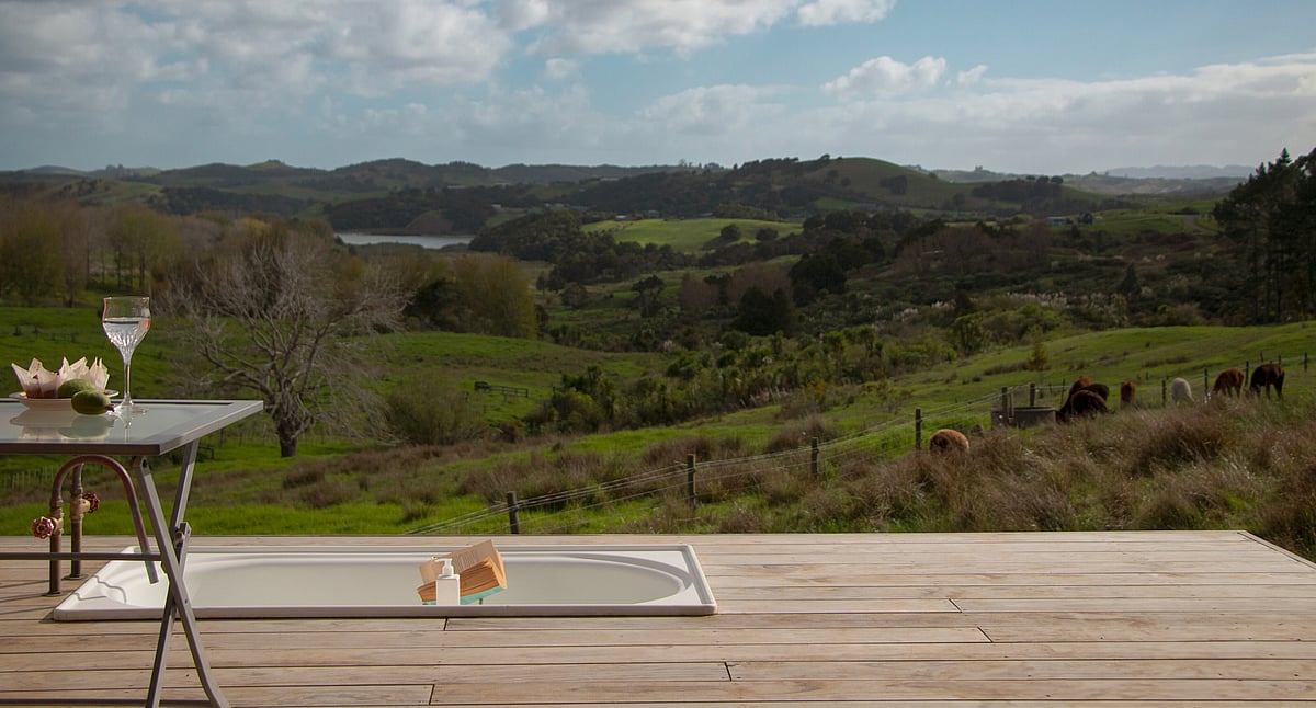 HavenRidge Alpacas | Boutique Off-Grid Glamping & Alpaca Farm Stay ...